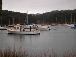 boats in cove